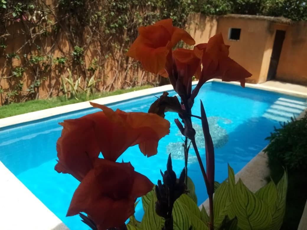 Villa Dallie Saly Portudal Ngoại thất bức ảnh